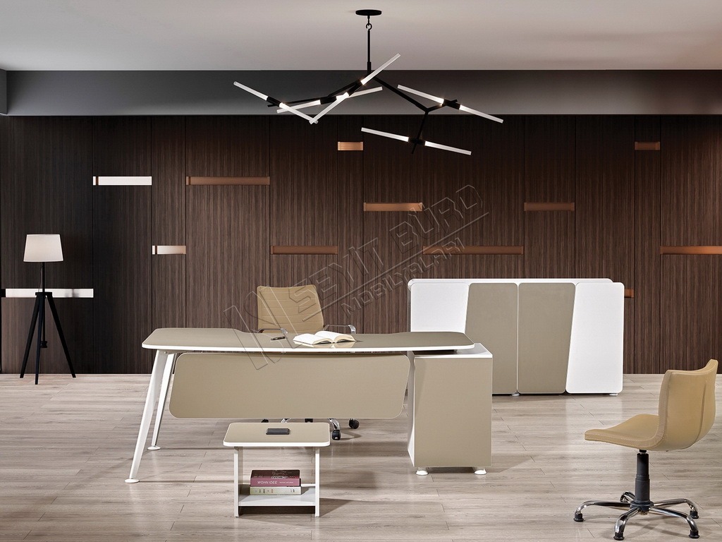 Bureau de direction Venus avec design minimaliste