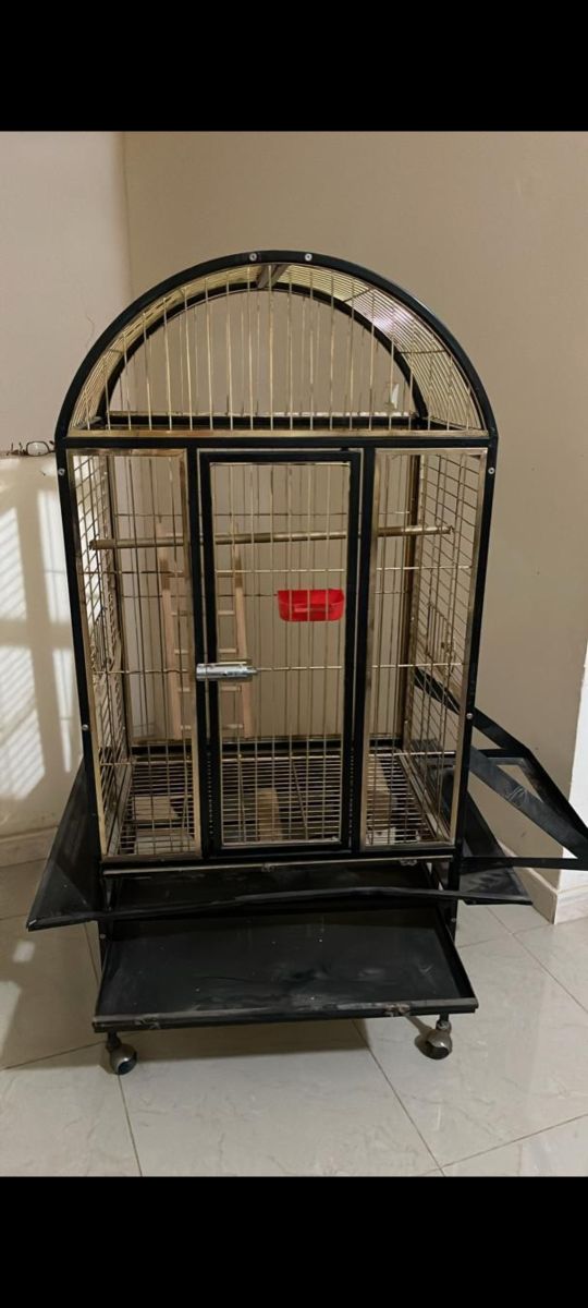 Cage pour oiseaux - Bon état, à négocier