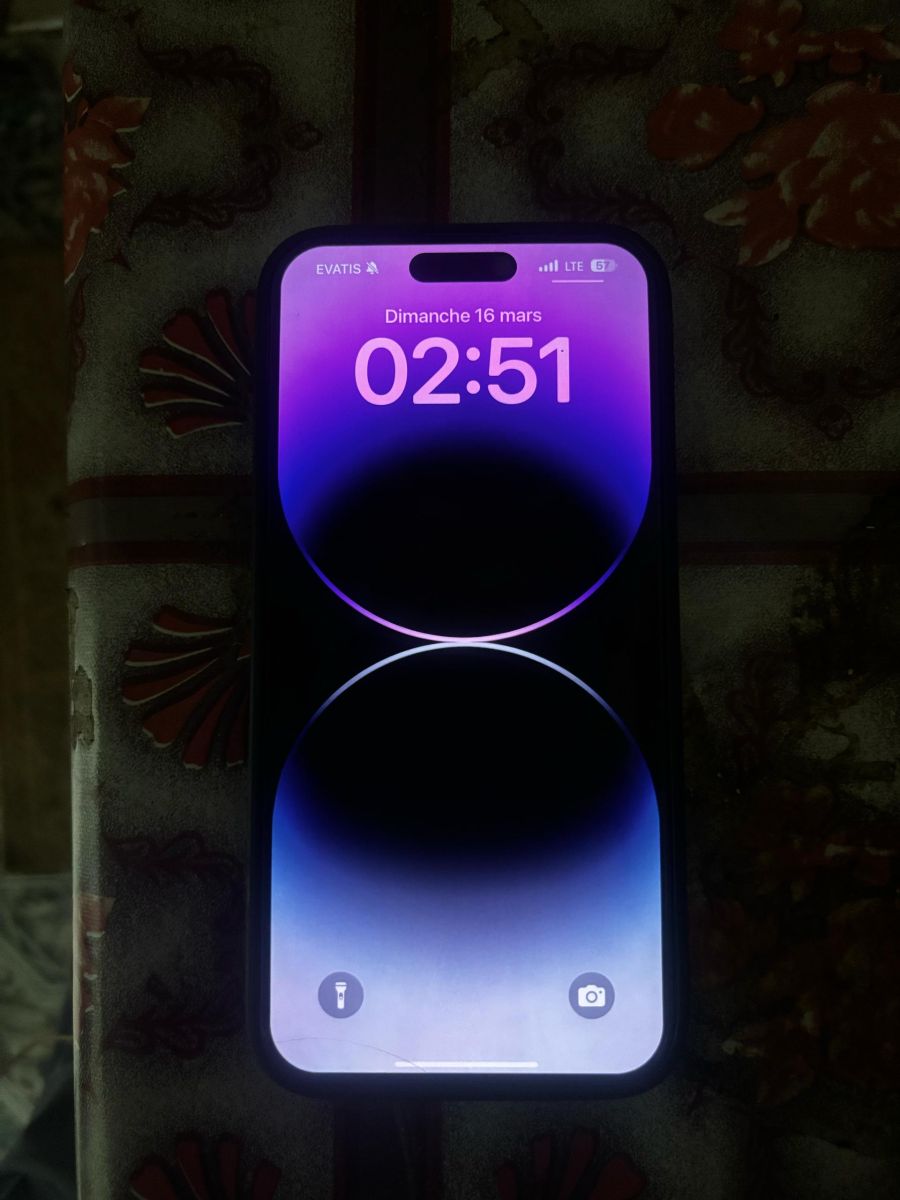 iPhone 15 Pro Max 256 Go, état impeccable, prix négociable