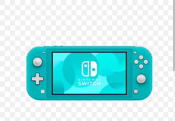 Nintendo Switch - 2 consoles en vente