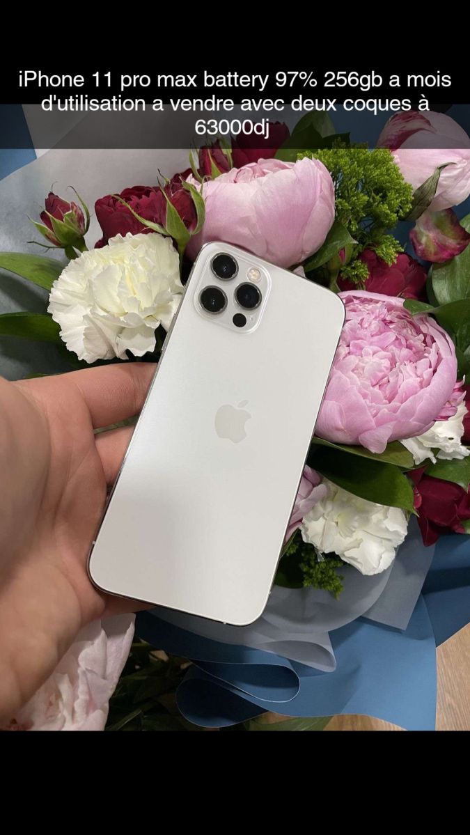 iPhone 11 Pro Max 256GB, parfait état, 1 mois d\'utilisation