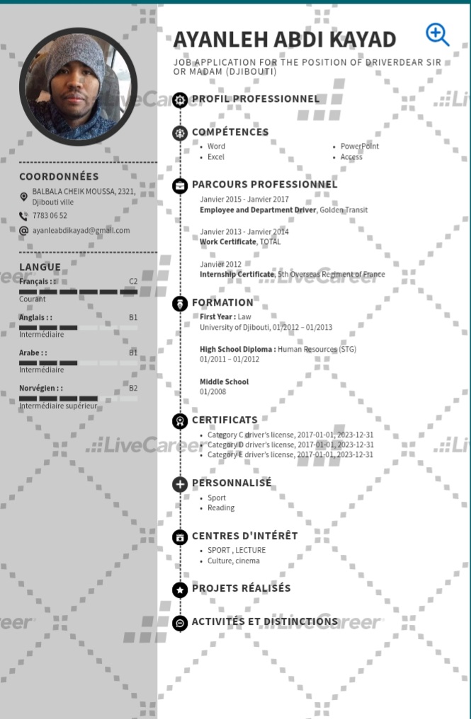 Expérimenté chauffeur avec permis C, D et E à la recherche d\'un poste