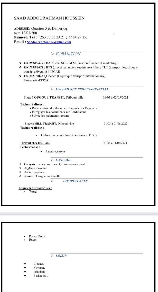 Jeune diplômé en Gestion et Logistique à la recherche d\'un emploi ou stage