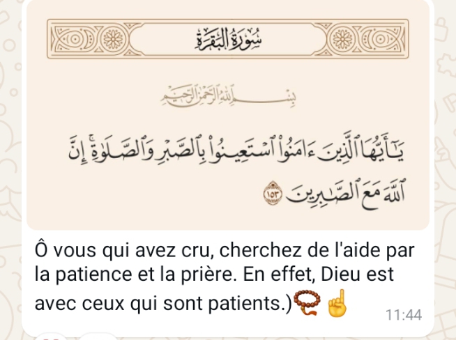Diplômée en gestion des ressources humaines à la recherche d\'un emploi