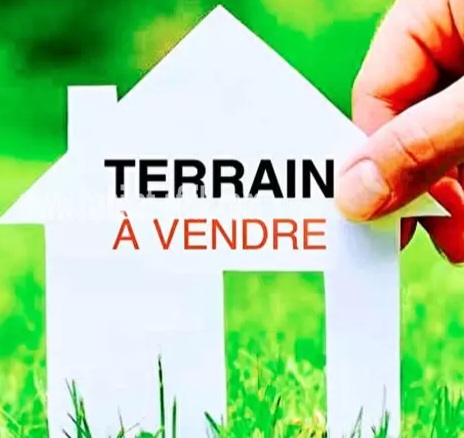 Parcelle commerciale de 100 mètre carré à Ali-sabieh, proche de la pharmacie ARREY: le prix est légèrement négociable