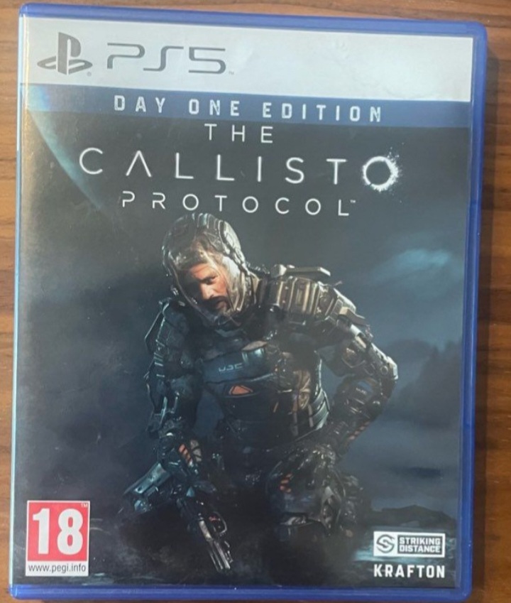 The callisto protocole