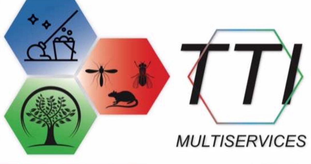 Assistant commercial bilingue, maîtrise de Sage, autonomie requise