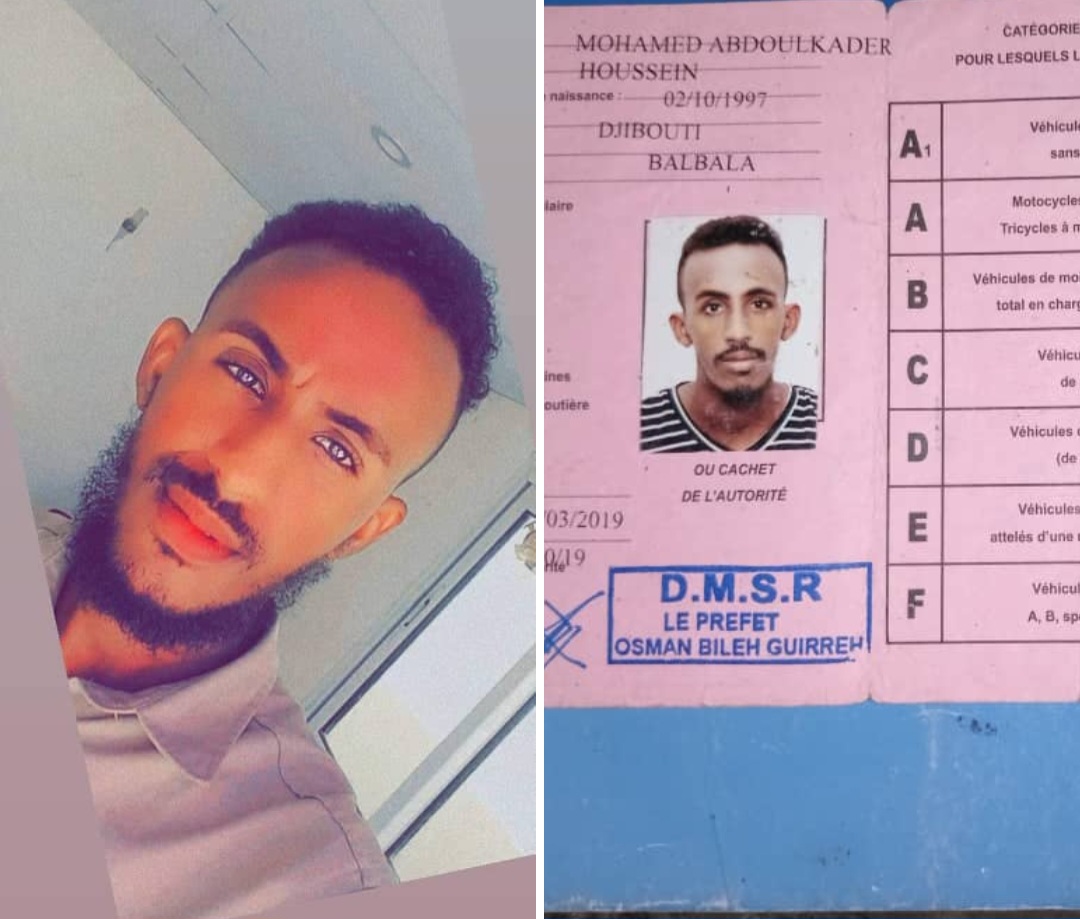 Chauffeur professionnel expérimenté, bilingue français et arabe