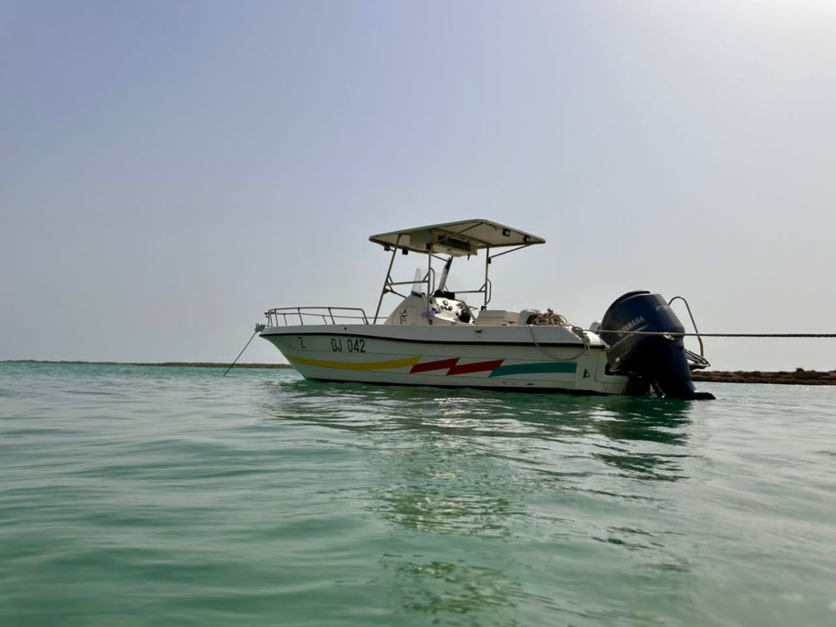 Gulf Craft 2001, bateau de mer en parfait état