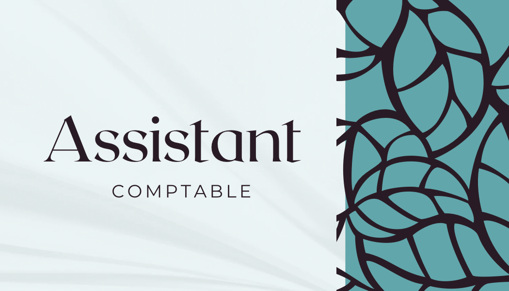 Comptable expérimenté, maîtrise Excel et Sage