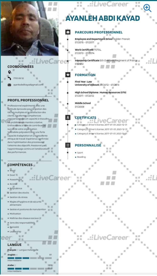 Chauffeur avec permis B, C, D et E disponible pour emploi