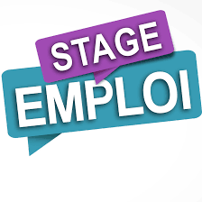 Licence en informatique, trilingue, disponible pour emploi ou stage