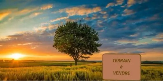 Terrain en vente à saline ouest 400m2 ramplayer