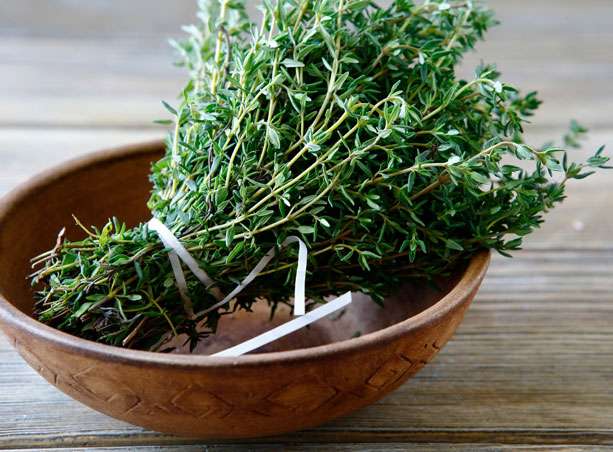 Thym frais - Vertus culinaires et médicinales