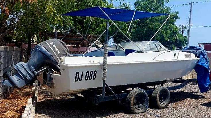 Bateau à moteur 2022, sellerie refaite 2023 avec remorque