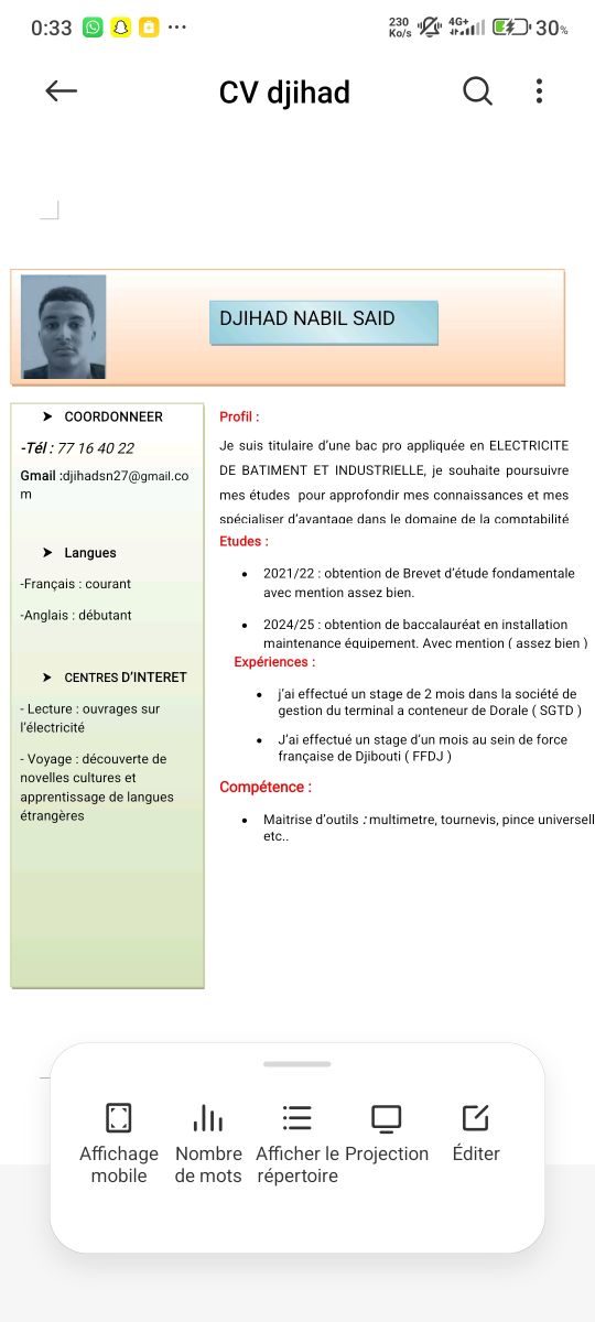 Jeune diplômé recherche emploi en électricité et en conduite (Catégorie B)
