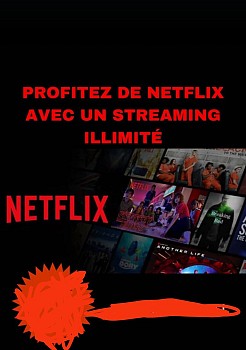 Service Netflix : Abonnement sans engagement pour séries et films