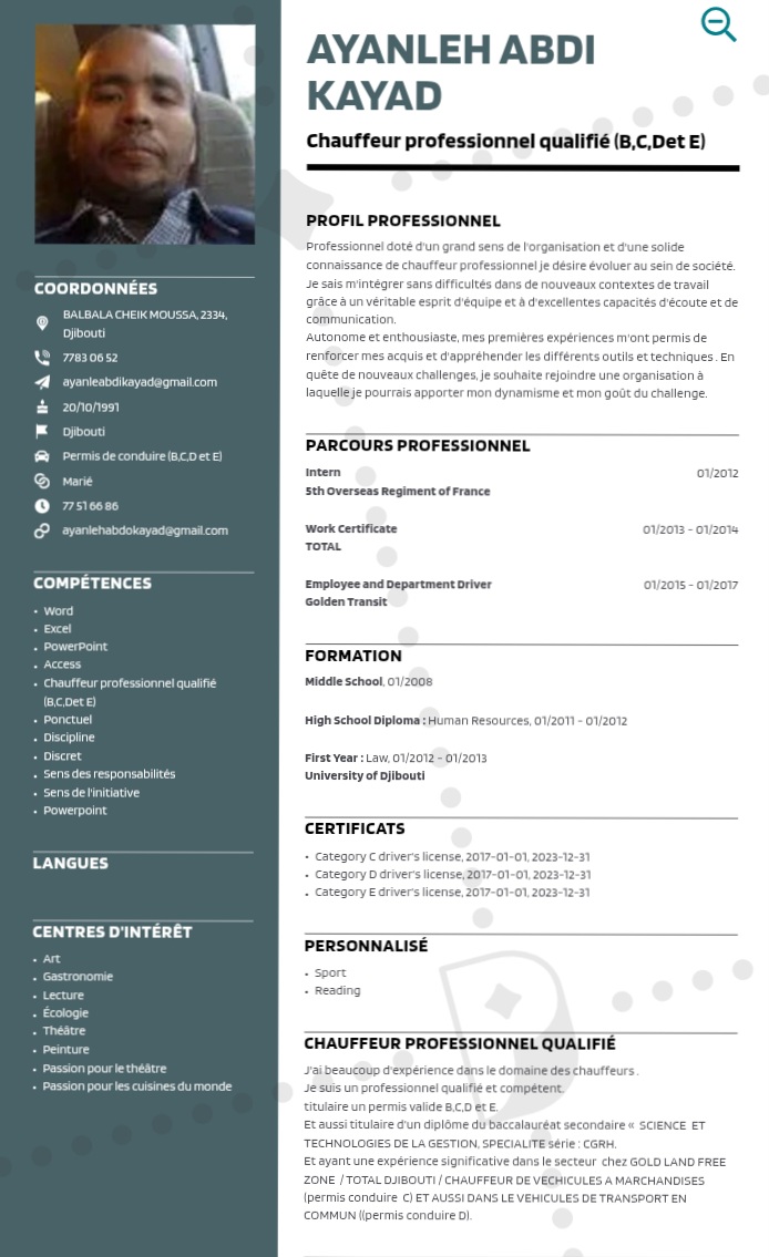 Chauffeur professionnel avec permis B, C, D et E à la recherche d\'emploi