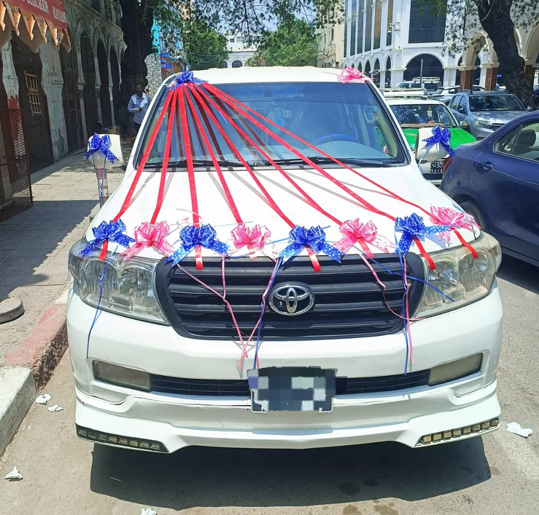 Toyota Land Cruiser V8 Diesel - Puissant et Confortable