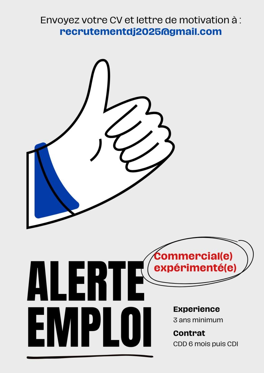Chargé(e) commercial(e) dynamique - Offre d\'emploi