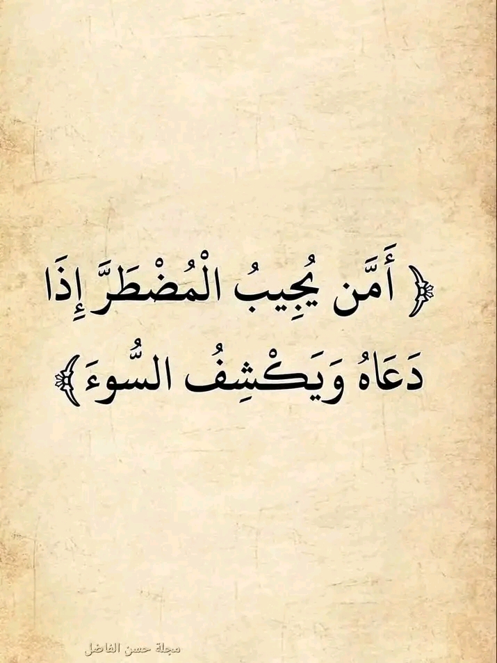 Enseignante expérimentée pour cours de Coran et de français à domicile