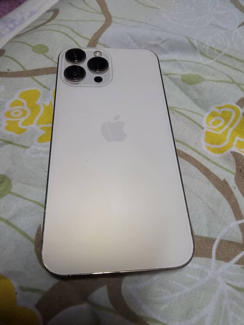 Iphone 13 Pro Max Blanc 256 Go - Prix intéressant - Bon état