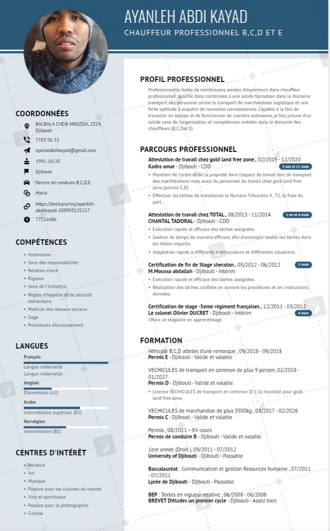 Expérience en tant que chauffeur avec permis C, D, et E disponible pour emploi