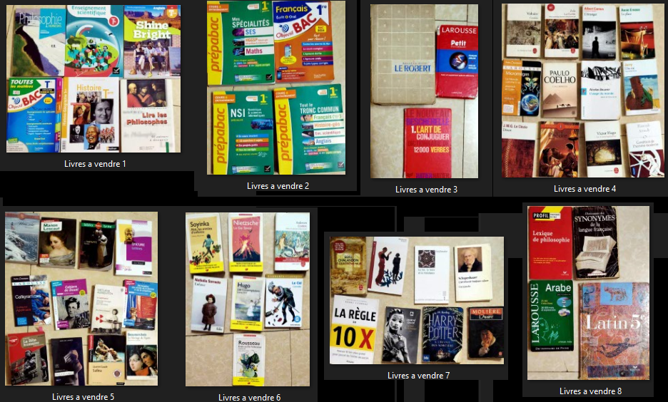 Livres de collège et lycée en vente - Dictionnaires et lexiques inclus