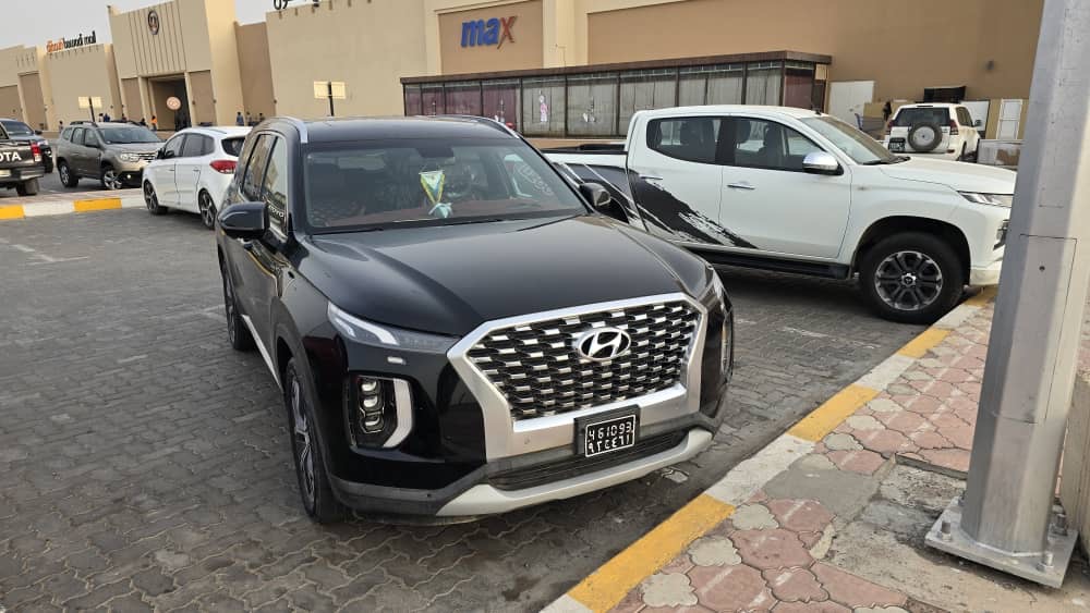 Voiture Hyundai Palisade d\'occasion, fiable et en excellent état