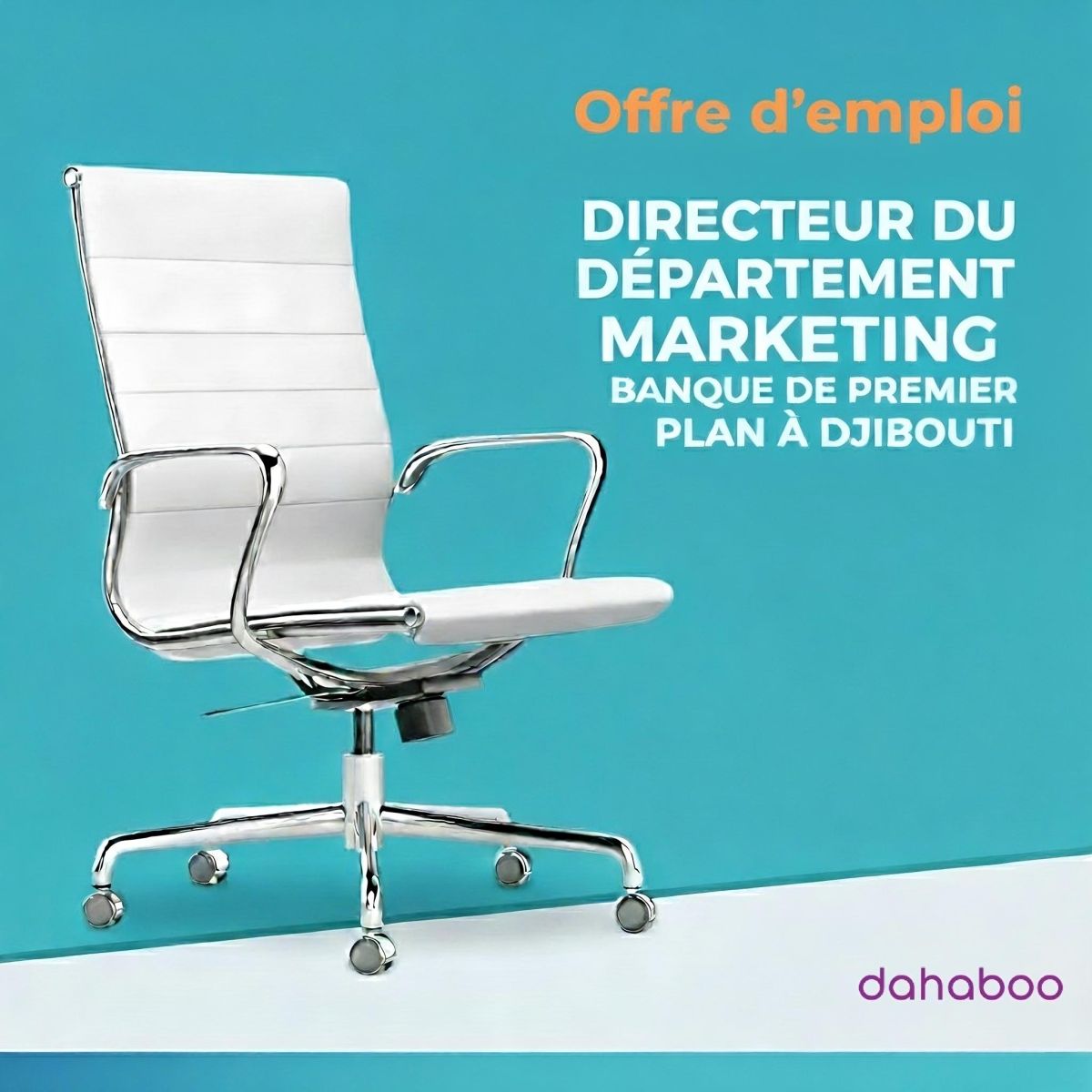 Offre d\'emploi Directeur du Département Marketing - Banque de premier plan à Djibouti