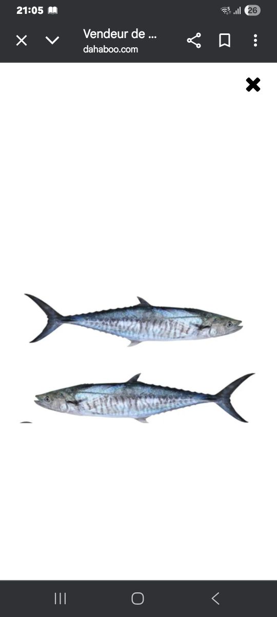 Nouvelle poissonnerie au centre-ville - Livraison gratuite