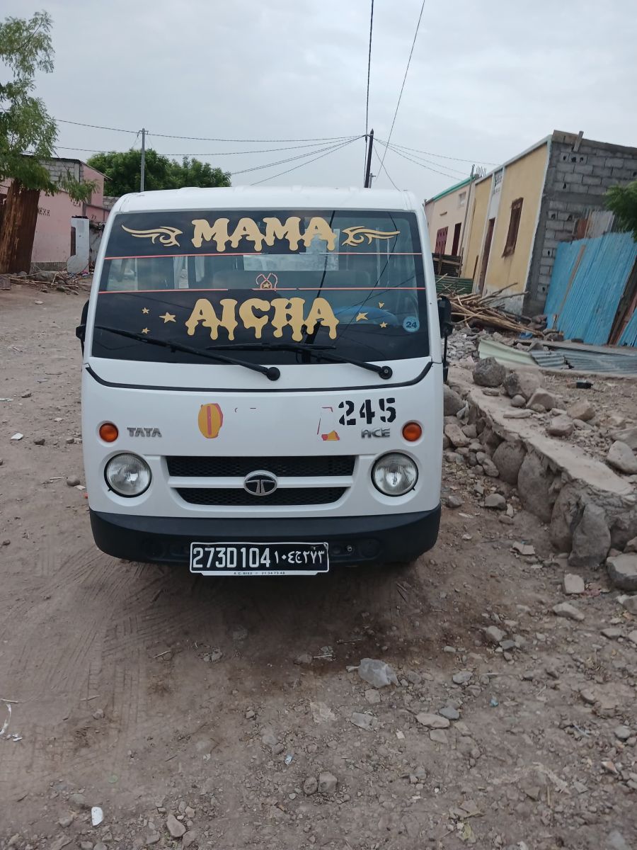 Tata Magic Neufs - Prix Spécial