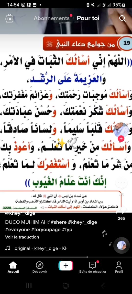 Experte en sciences sociales et humanitaires disponible pour emploi