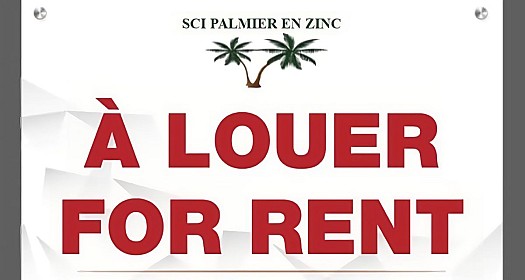 Appartement F4 rénové avec balcon au centre-ville