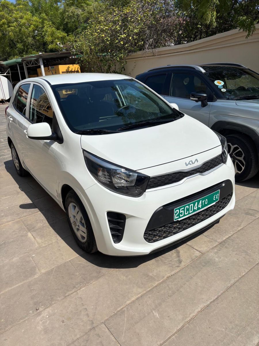 Kia Picanto 2024, essence automatique, très peu utilisée