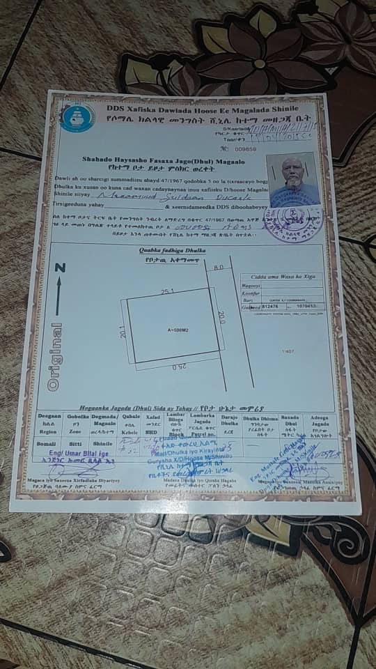 Terrain bien placé de 500 m² à la sortie de Dire Dawa et Shinileh
