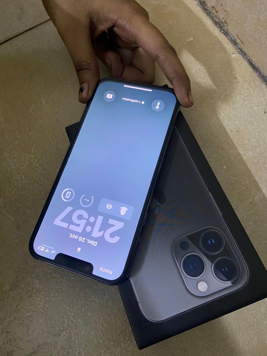 iPhone 13 Pro 256 Go, Batterie 96%, Parfait État