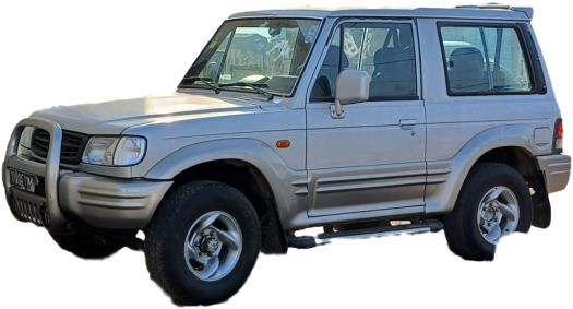 Galloper à vendre à prix exceptionnel