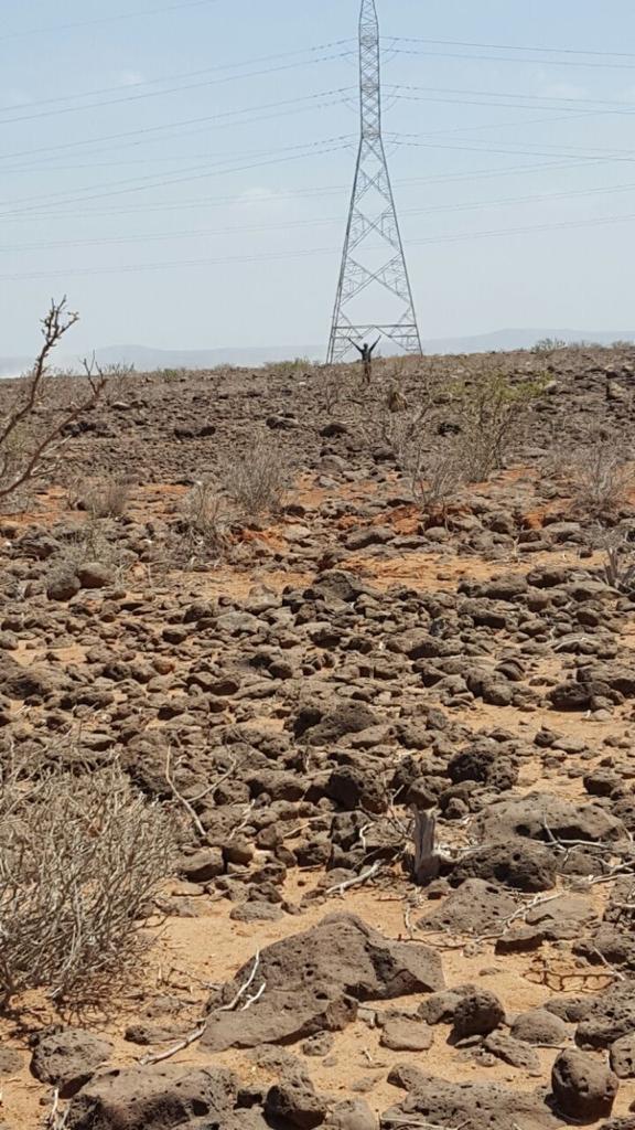 Terrain de 3 000m² à louer à PK18 avec titre foncier