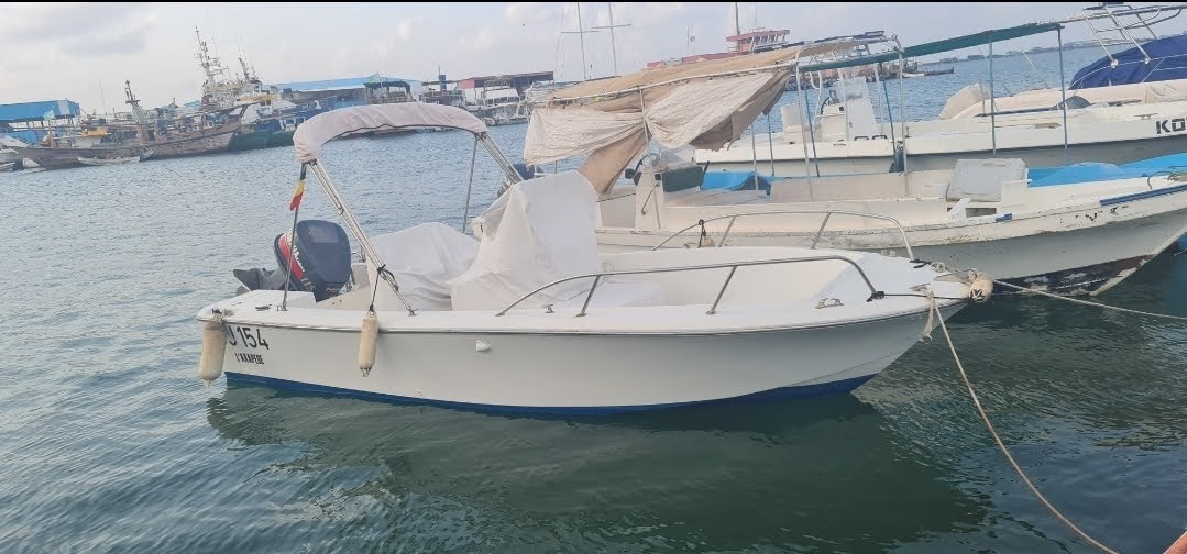 Bateau White Shark 7m, moteur Yamaha 115CV en bon état