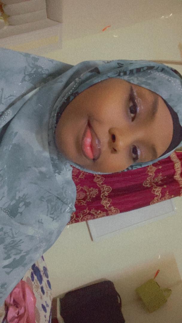 Diplômée en Logistique et Transport cherche emploi