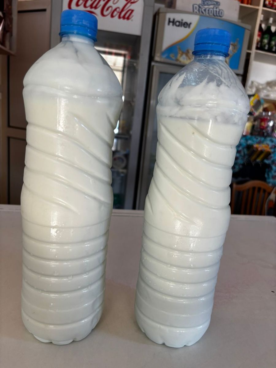 Lait caillé artisanal, riche en probiotiques et traditionnel