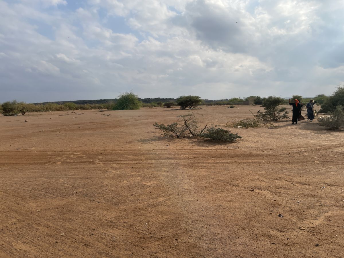 Terrain spacieux à vendre à Douda