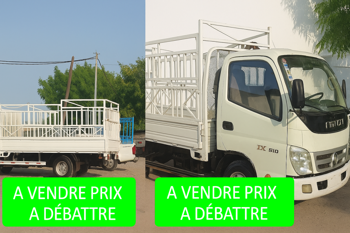 Proton en bon état, climatisation à réparer