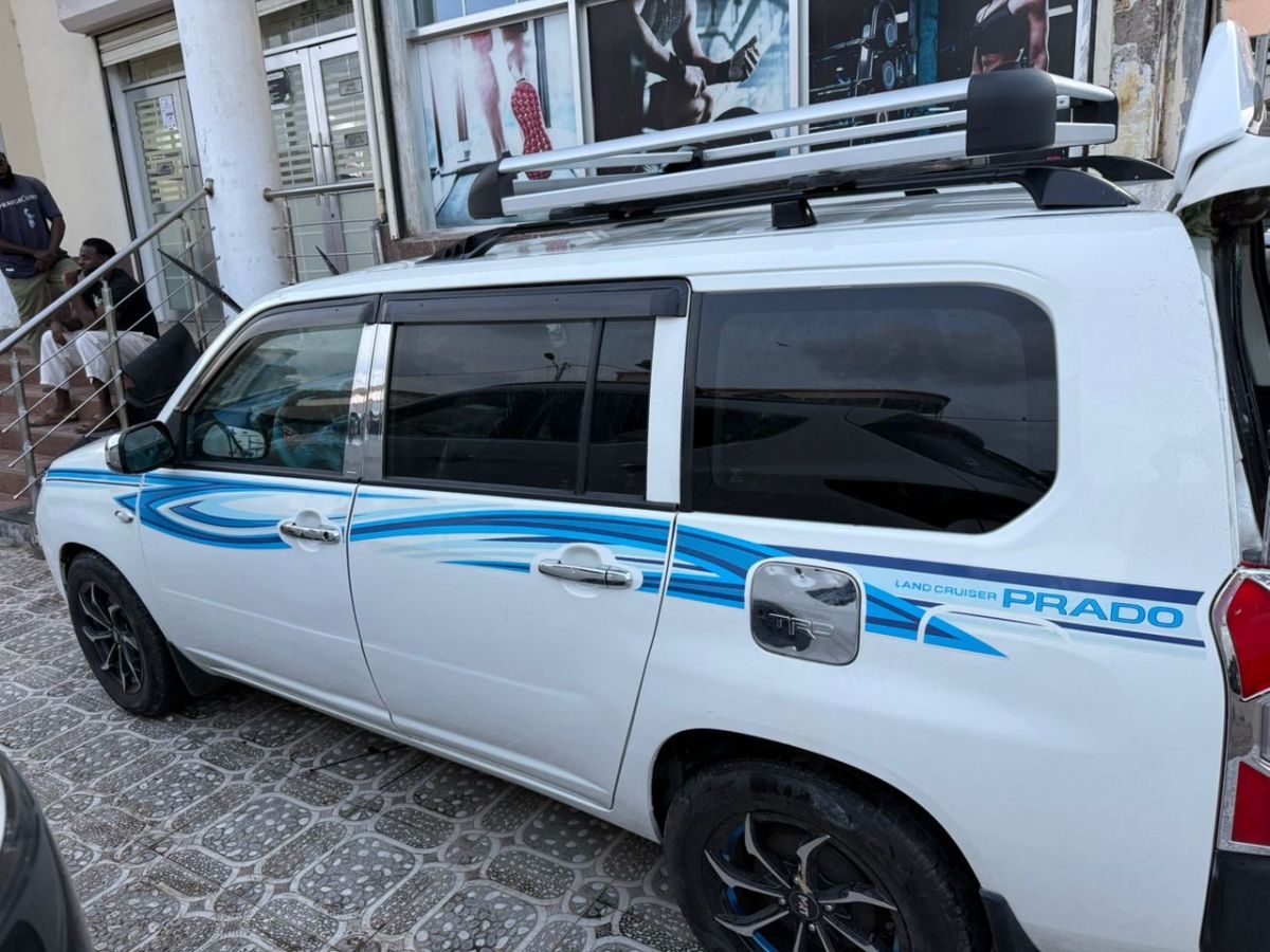 Toyota Probox Succeed automatique, état impeccable