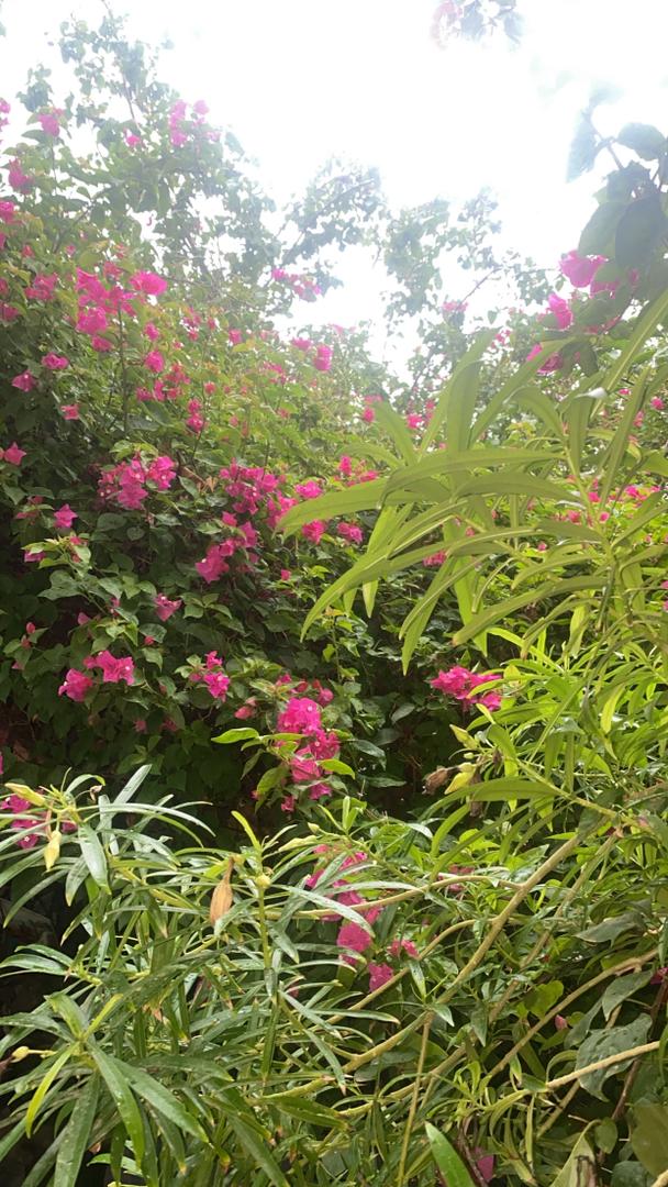 Cours d\'anglais et français à domicile pour débutants et adolescents