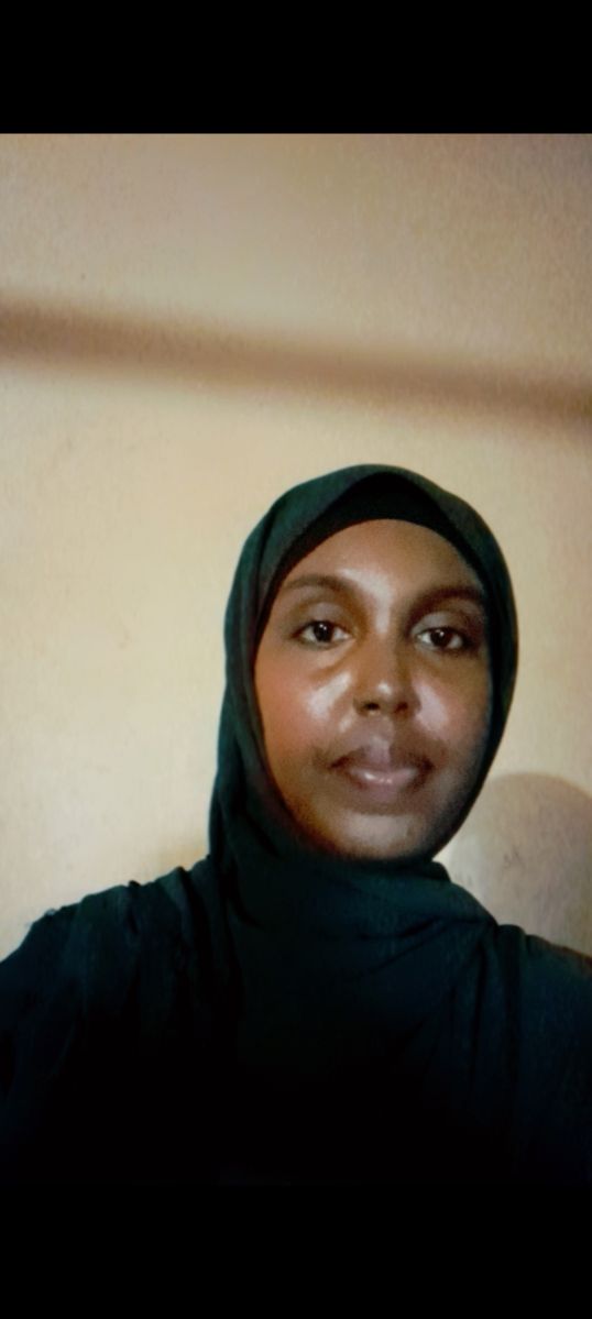 Titulaire d\'une licence comptable, disponible pour emploi ou stage