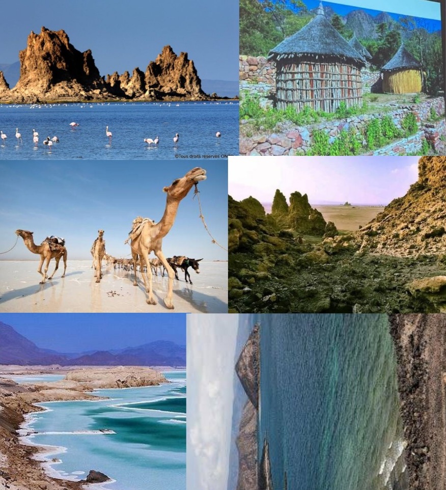 Guide Touristique Djiboutien - Découvrez les trésors de Djibouti avec un guide local passionné