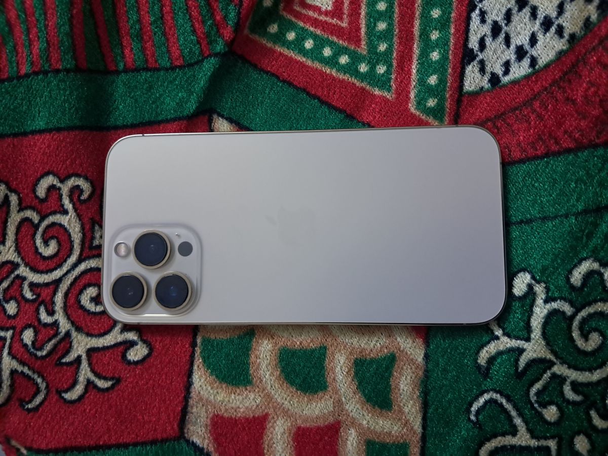 iPhone 13 Pro Max 256Go, Batterie 85%, Face ID Fonctionnel