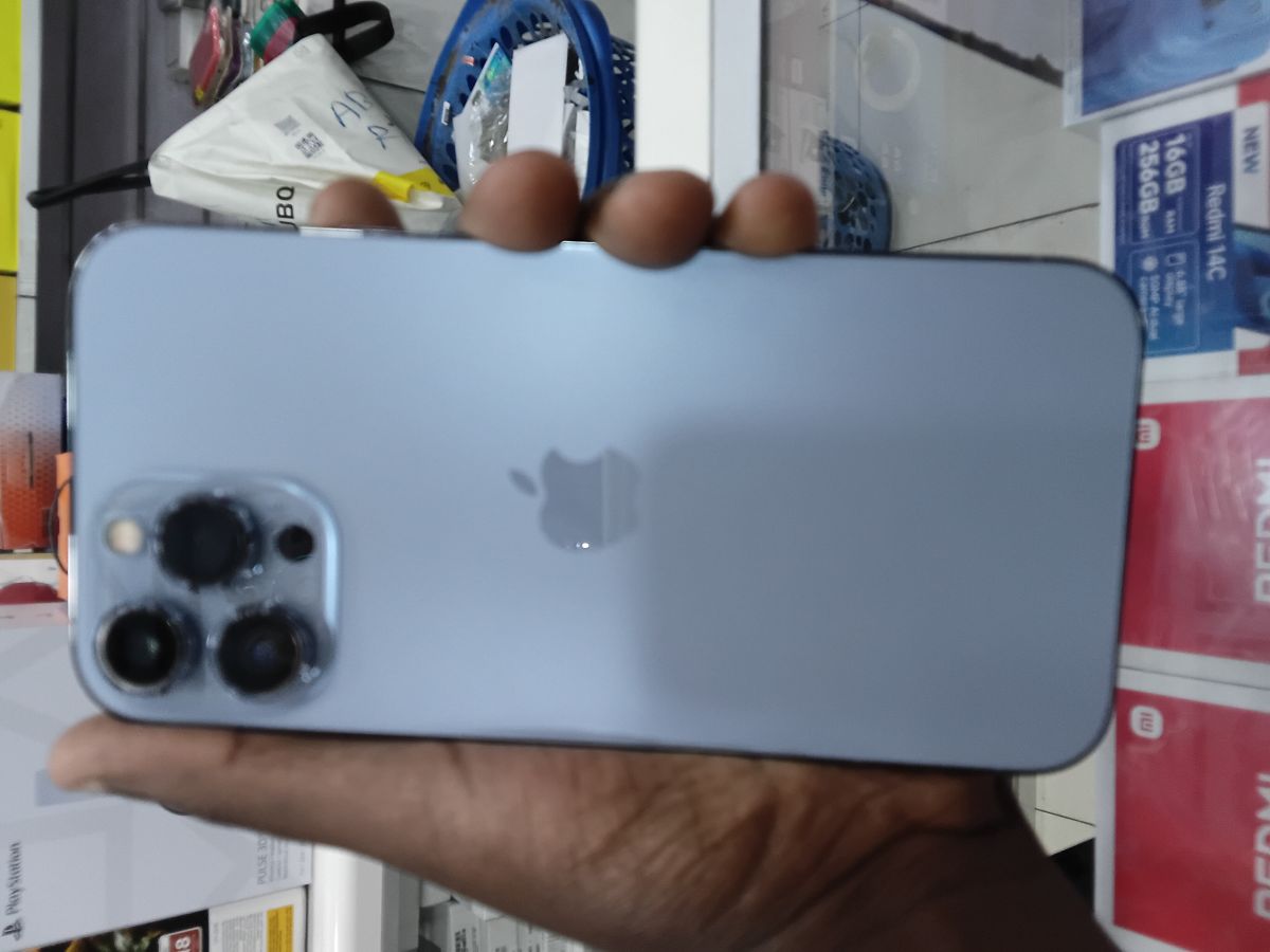 iPhone 13 Pro Max 256 Go, très bon état